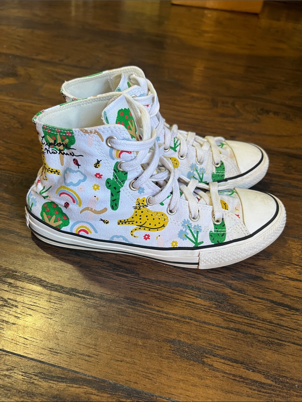Converse All Star Explore Nature high top sneakers size 6